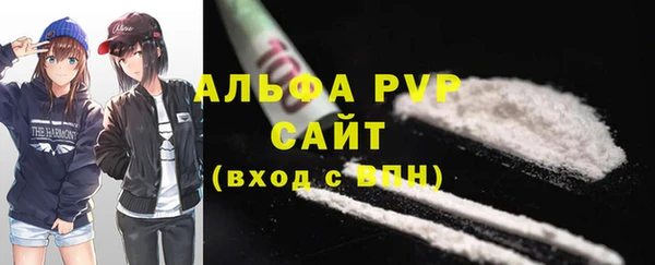 прущие грибы Беломорск