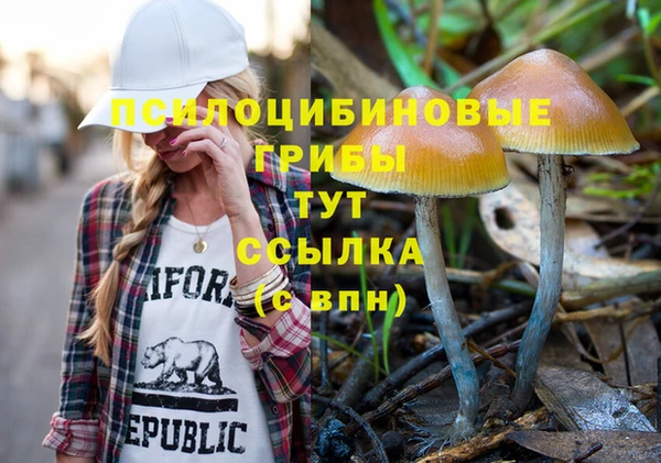 винт Белокуриха