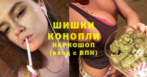 прущие грибы Беломорск